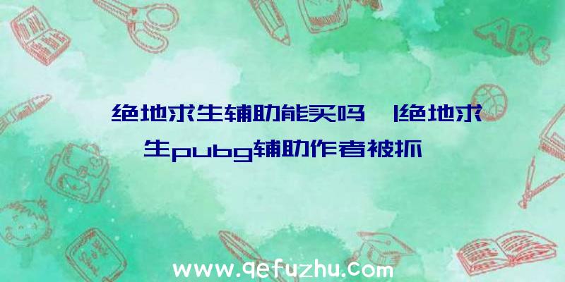 「绝地求生辅助能买吗」|绝地求生pubg辅助作者被抓